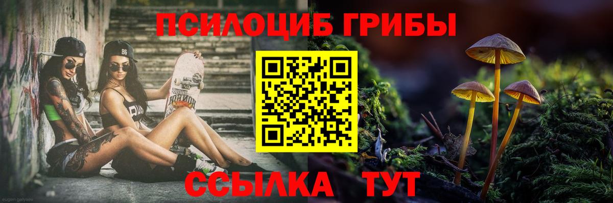 Туапсе  Псилоцибиновые грибы прущие грибы  Вход с VPN  Псилоцибиновые грибы GOLDEN TEACHER 