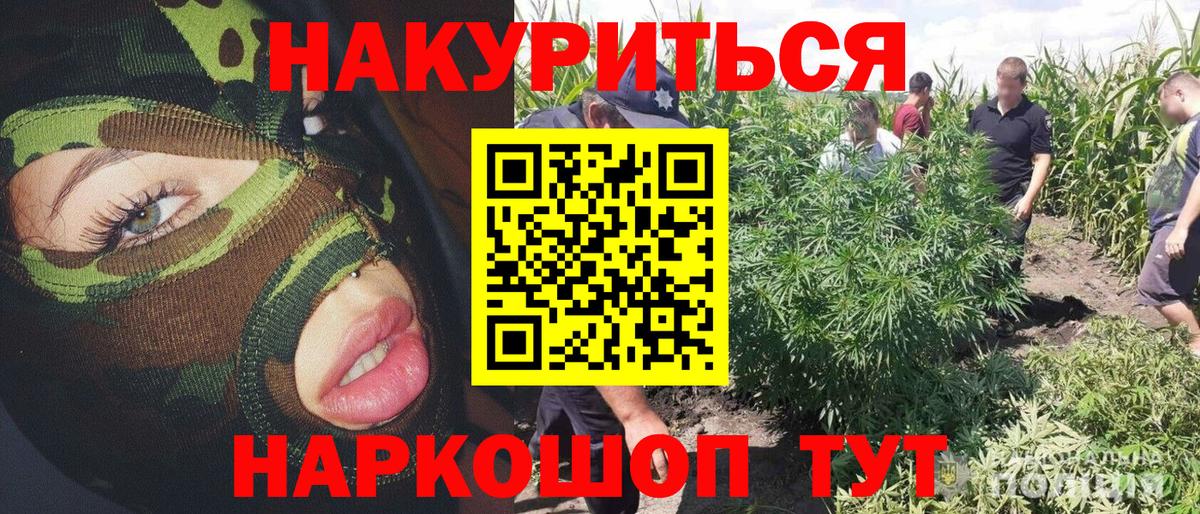 Канабис OG Kush  Вход с VPN  Канабис марихуана  Канабис Amnesia  Туапсе 